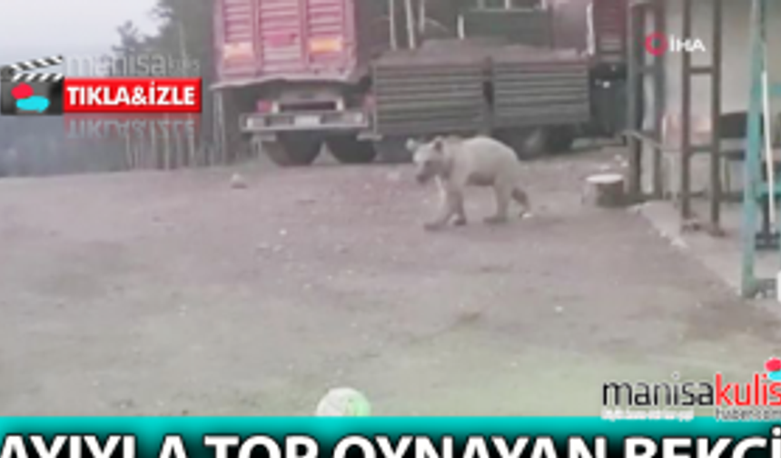 Bekçi ayıyla top oynadı ortaya renkli görüntüler çıktı