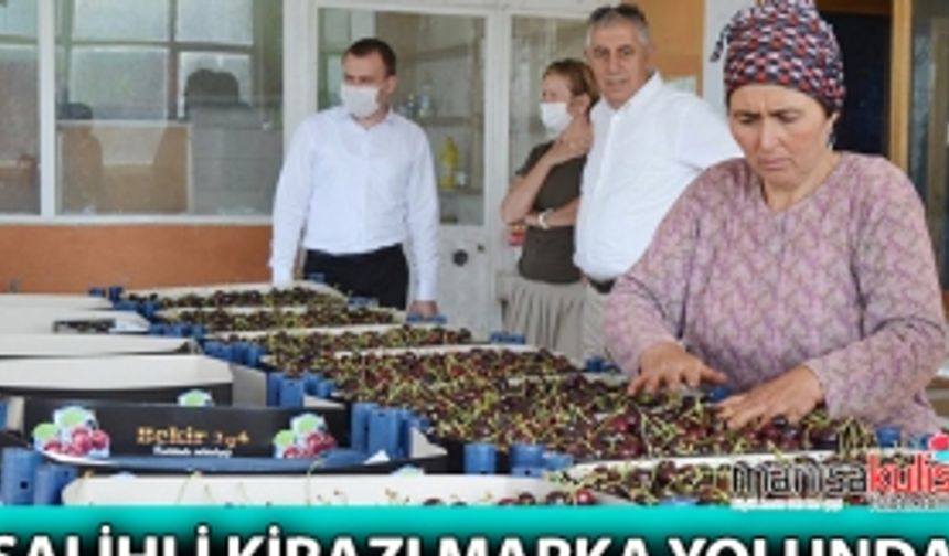 Salihli Kirazı’na FAO'dan coğrafi işaret desteği geldi