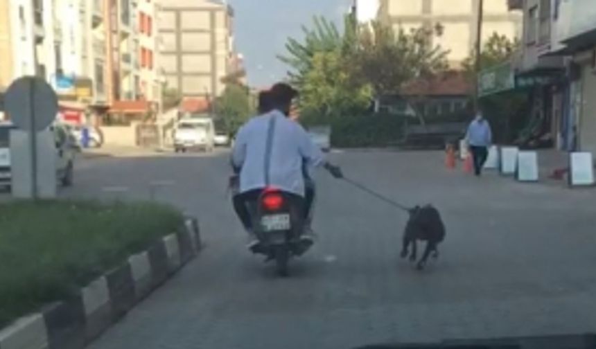 Motosiklete bağladıkları köpeği uzun süre koşturdular