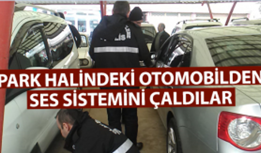 Otomobilin sahibi şok oldu!