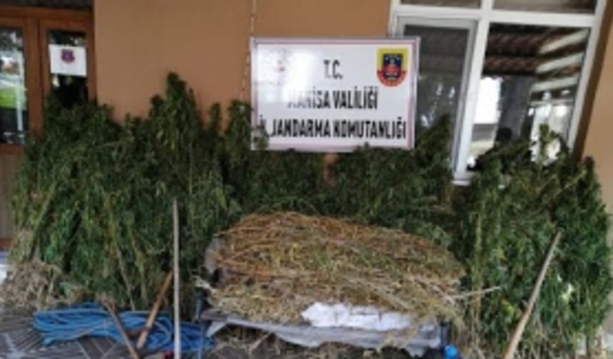 Manisa Yunusemre’de uyuşturucu operasyonu!