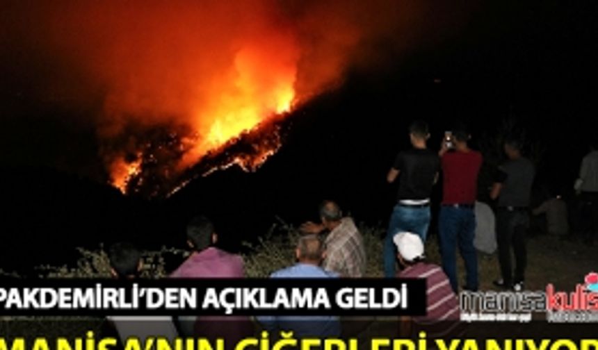 Manisa’da orman yangını