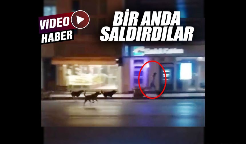 Bu görüntüler Manisa’da çekildi!