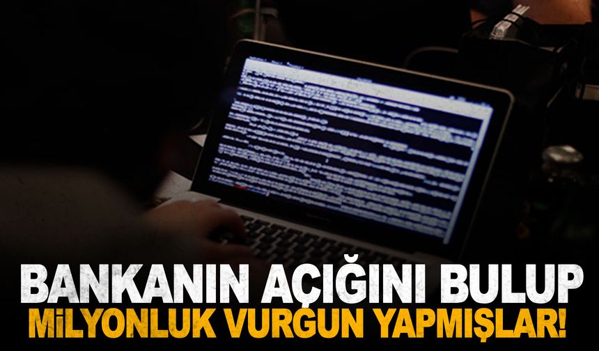 Bankanın açığını bulup milyonluk vurgun yapan çeteye darbe