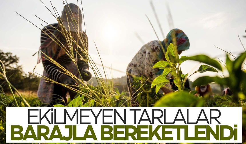 Ekilmeyen tarlalar barajla bereketlendi