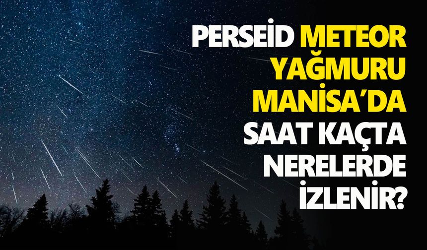 Perseid meteor yağmuru Manisa’da nerelerde izlenir? Saat kaçta?