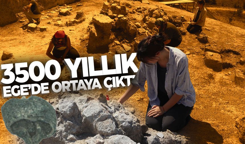 Arkeolojik kazıda yaklaşık 3500 yıllık üzüm çekirdeği kalıntısı bulundu