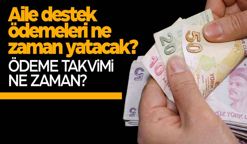 Destek ödemeleri ne zaman yatacak? İşte aile destek ödemesiyle ilgili detaylar