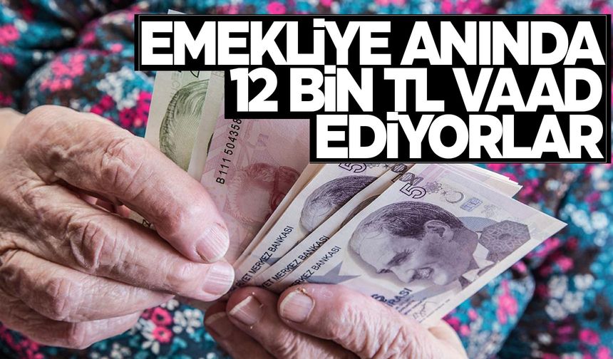 Emekliye 12 bin TL... Geçen hemen alıyor