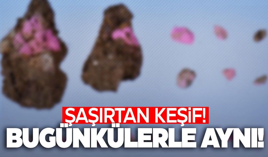 Ege’nin o ilinde dikkat çeken keşif!