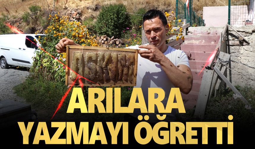 Öğrenciler okula, arılar tatile çıktı