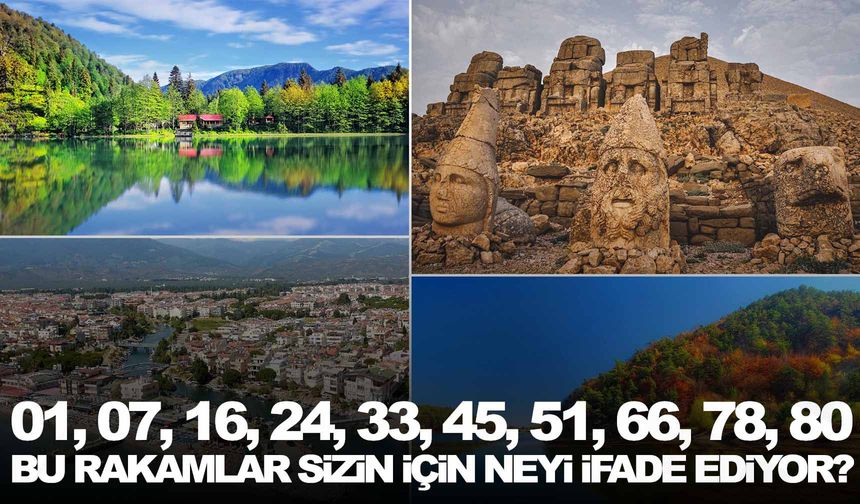 01, 07, 16, 24, 33, 45, 51, 66, 78, 80… Bu rakamlar sizin için neyi ifade ediyor?