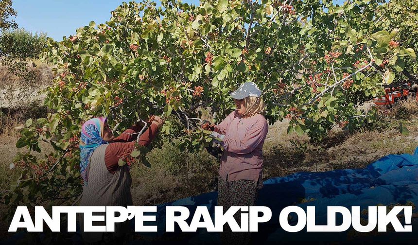 Manisa’nın o ilçesi Gaziantep’e rakip oldu!