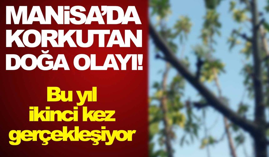 Resmen kıyamet alameti gibi! Bu kez de…