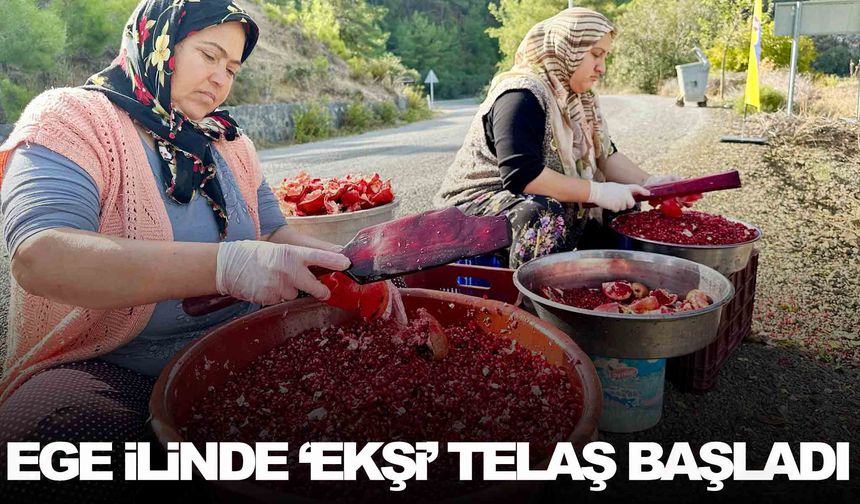 Ege ilinde ‘Ekşi’ telaş başladı