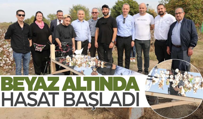 Manisa’nın beyaz altınında hasat zamanı