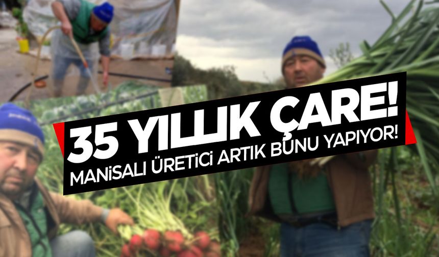 Manisalı üzüm üreticisi çareyi böyle buldu... Bağlı kalmayın!