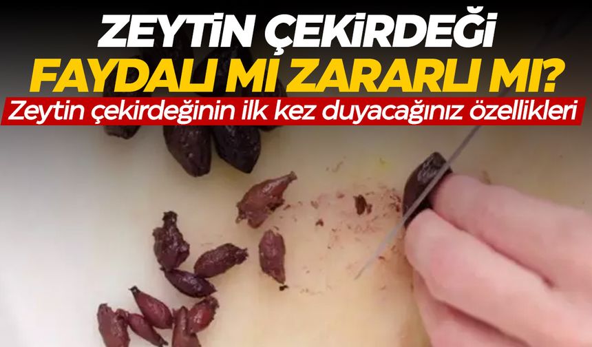 Zeytin çekirdeği faydalı mı zararlı mı? Bilmediğiniz özellikler...