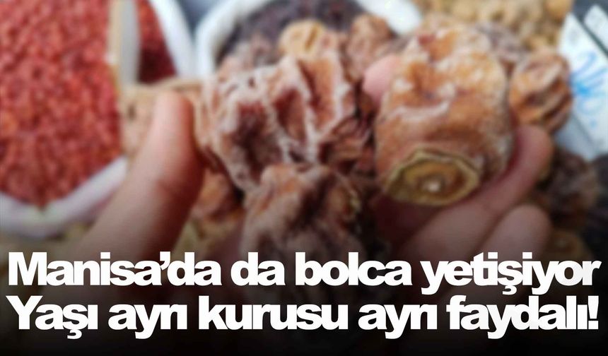 Manisa’da da bolca yetişiyor… Yaşı ayrı kurusu ayrı faydalı!