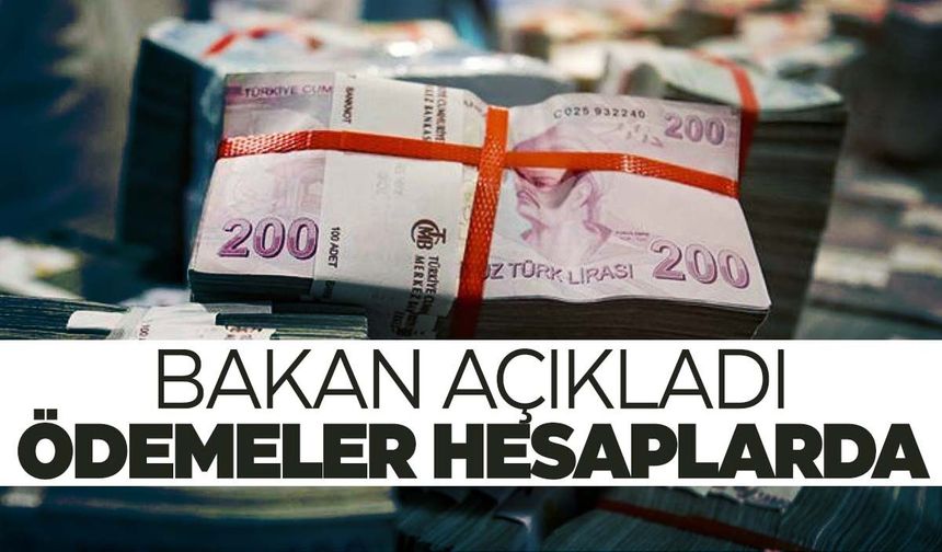 Mart ayı destek ödemeleri hesaplara yattı!
