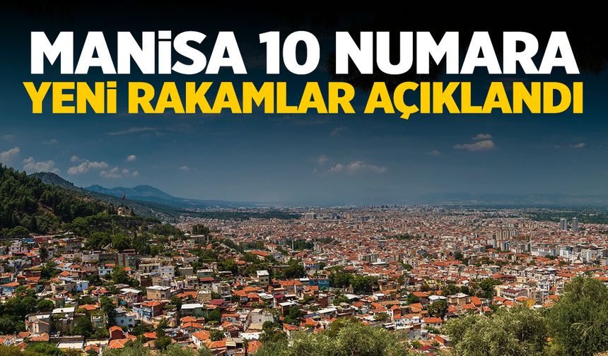 İstanbul, Kocaeli, İzmir, Manisa... Rakamlar ortaya döküldü! Manisa 10 numara