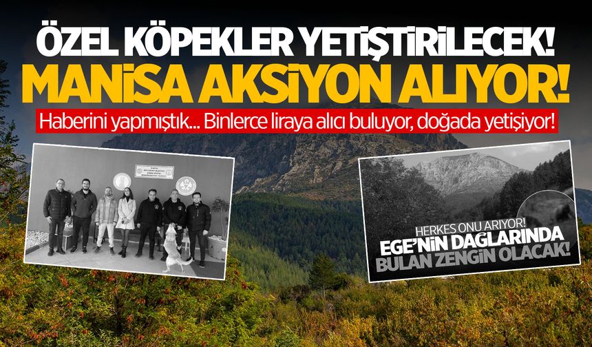 Manisa’da av başlıyor! Ekipler kurulacak… Doğada yetişiyor!