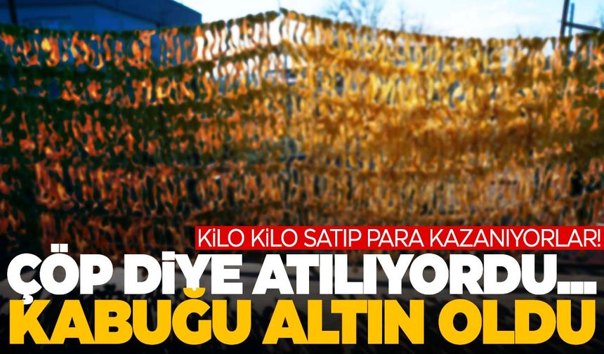 Çöp diye atılıyordu… Kabuğu altın oldu!