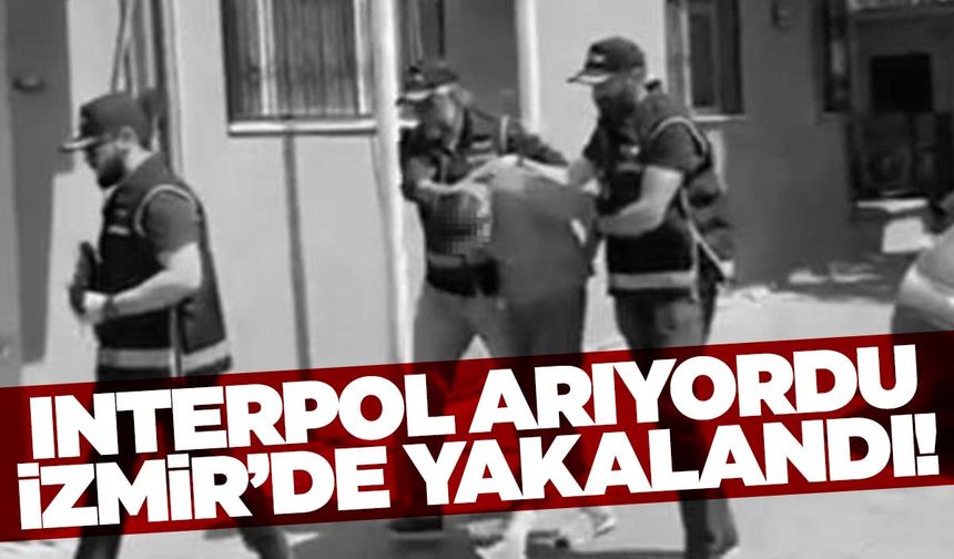 INTERPOL tarafından aranıyordu… Rus dolandırıcı İzmir’de yakalandı