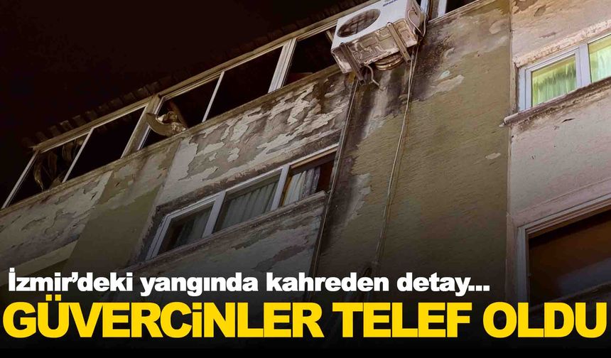 İzmir’de yangın… 100’e yakın güvercin telef oldu