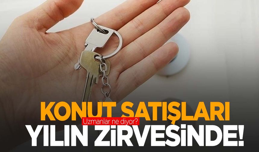 Konut satışları ağustosta yükseldi! Yüksek faize rağmen satışlar neden artışta?