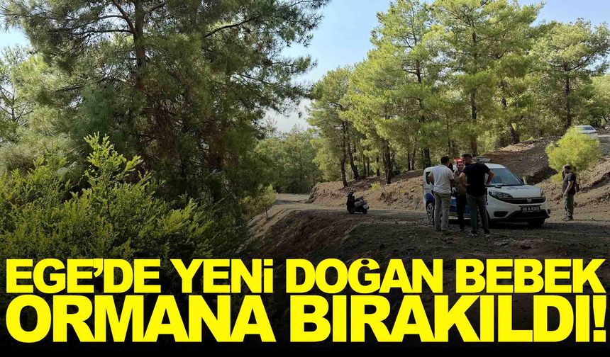 Yeni doğan bebeği ormana bıraktılar… 2 zanlı gözaltına