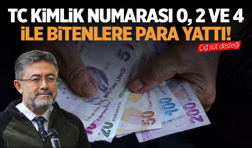 Bakan duyurdu: TC kimlik numarası 0, 2 ve 4 ile bitenlere para yattı!