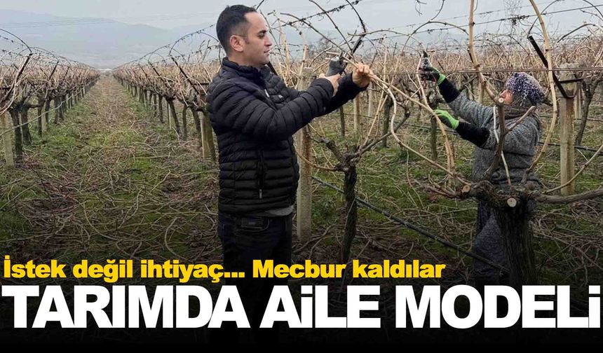 Manisa’da tarımda yeni model: Aile tarımı!