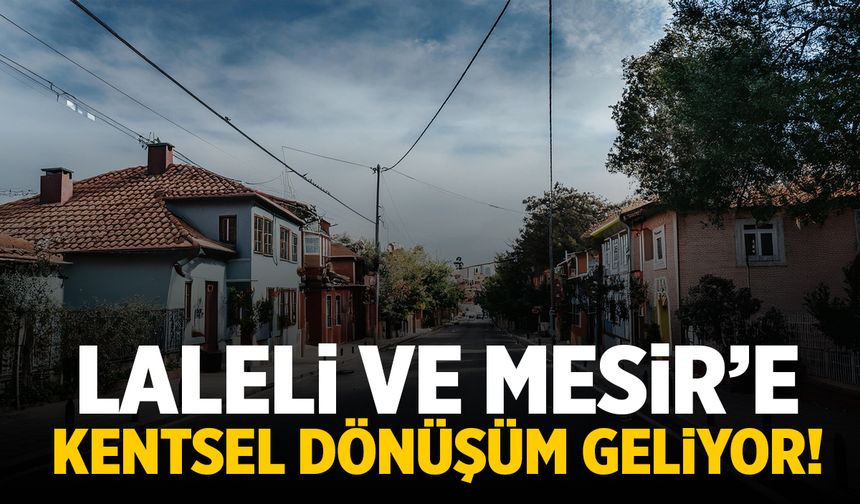 Ferdi Zeyrek'ten kentsel dönüşüm açıklaması! Laleli ve Mesir mahalleleri...