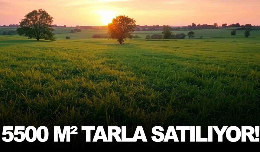 Manisa’da 5500 metrekare tarla icradan satılıyor!