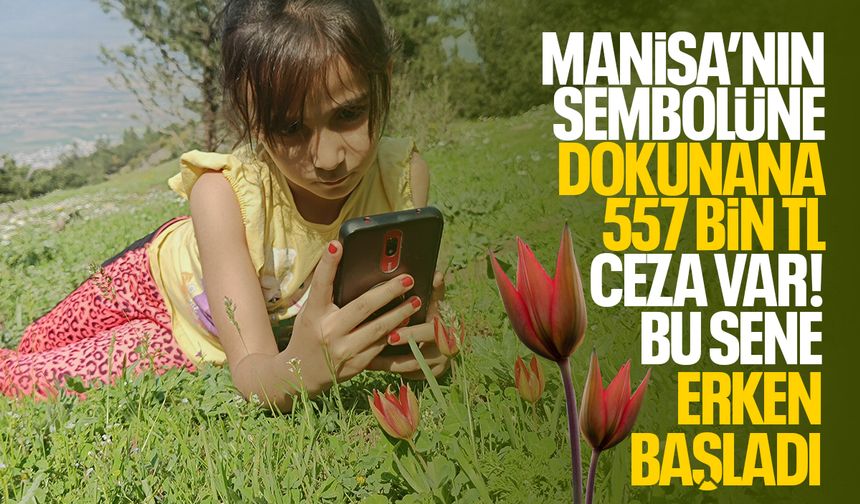 Erken başladı… Manisa’nın sembolüne dokunana 557 bin TL ceza var!