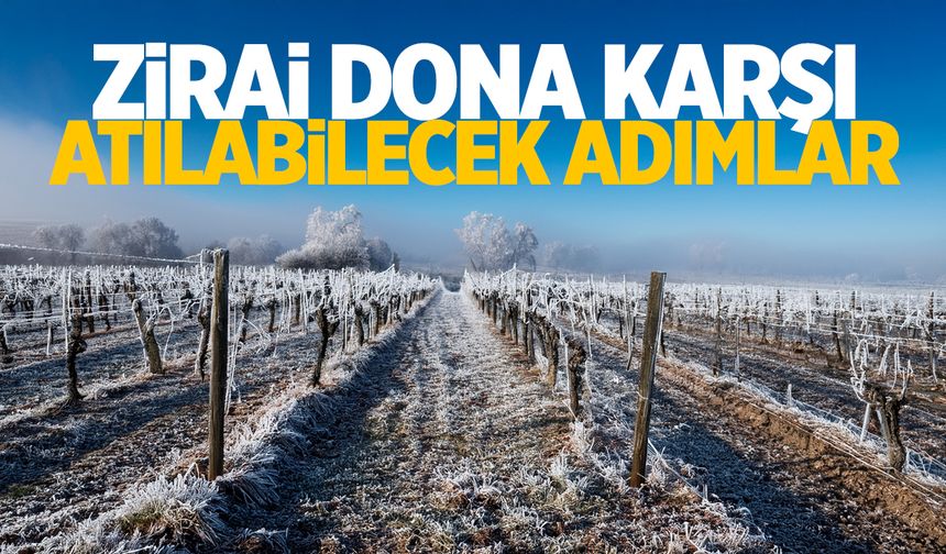 Zirai don felaketine karşı alınabilecek önlemler