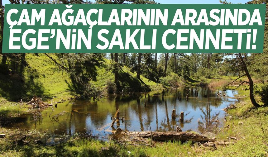 Ege’nin gizli kalmış cenneti… Huzura davet ediyor!