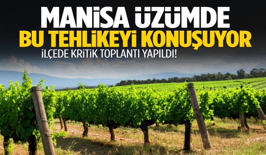 Manisa üzümdeki bu tehlikeyi konuşuyor! Alarm zilleri çalıyor…