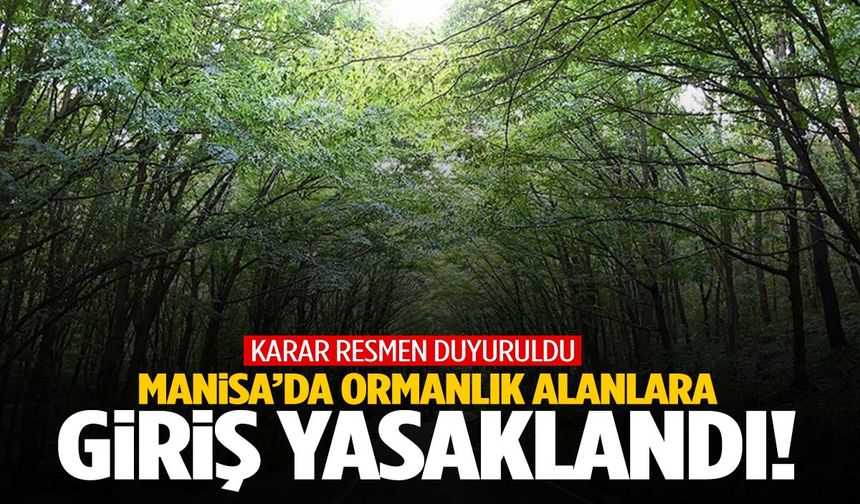 Valilik duyurdu… Manisa’da ormanlık alanlara giriş yasaklandı!