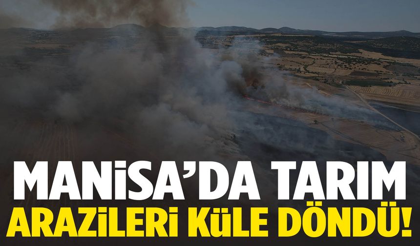 Manisa’da tarım arazileri küle döndü!