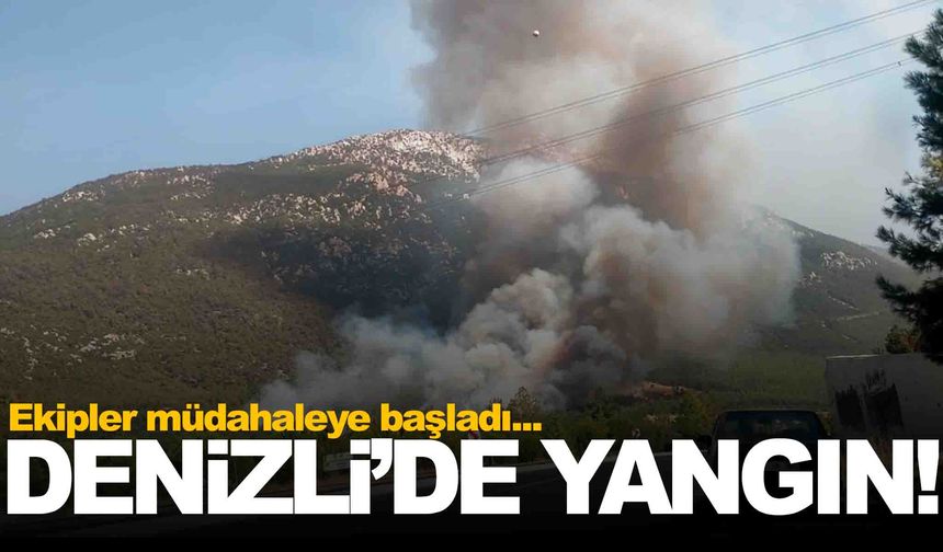 Denizli'de orman yangını başladı… Havadan ve karadan müdahale sürüyor!
