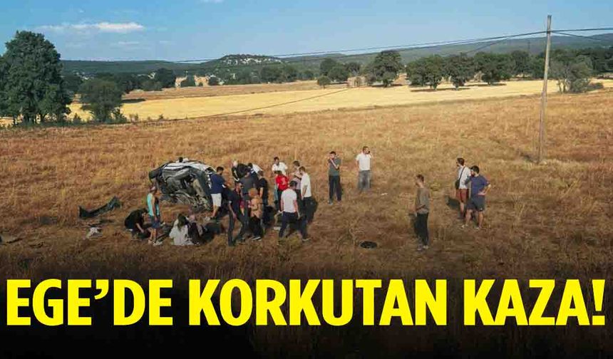Ege’de otomobil tarlaya uçtu… Yaralılar var!