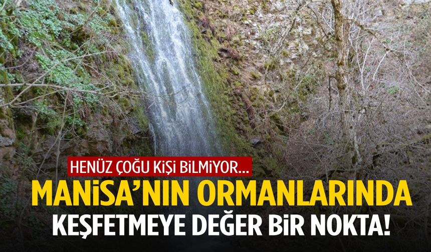 Henüz çoğu kişi bilmiyor… Manisa’nın ormanlarında keşfetmeye değer bir nokta!