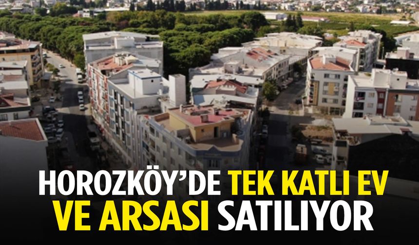 Horozköy’de tek katlı ev ve arsası satılıyor! Değeri dudak uçuklattı…