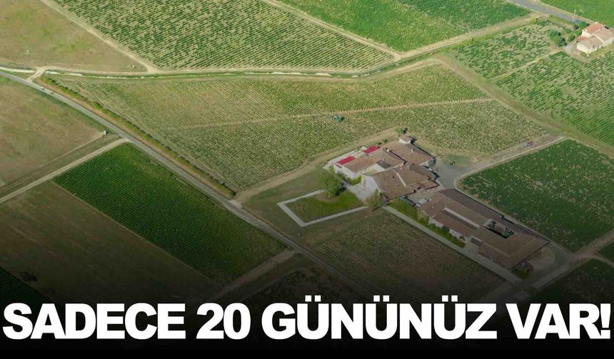 İki yıldır yapmıyorsanız dikkat! Sadece 20 gününüz var… Sonrasında kiraya verilecek!