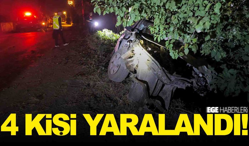 Afyonkarahisar'da kontrolden çıkan otomobil ağaca çarparak durabildi!