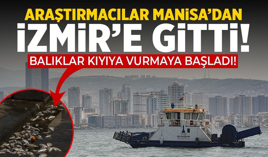 Tehlike yeniden başladı! Manisa’dan araştırmacılar İzmir’e gitti…