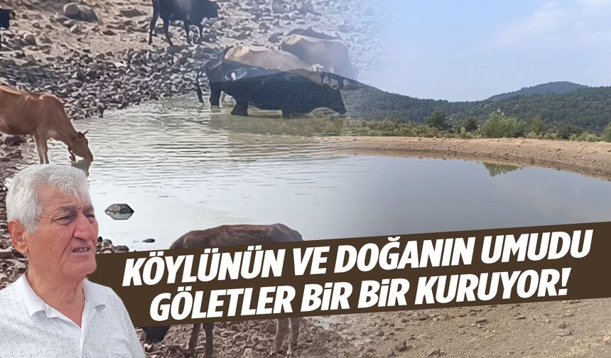 Yuntdağı’ndaki göletler kuruyor… Ne hayvana su kaldı ne yangın helikopterine!