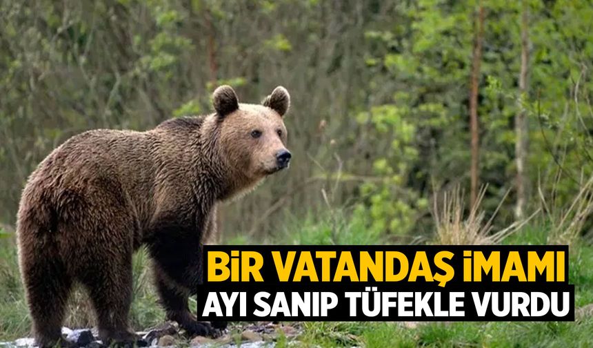 Bir vatandaş imamı ayı sanıp tüfekle vurdu